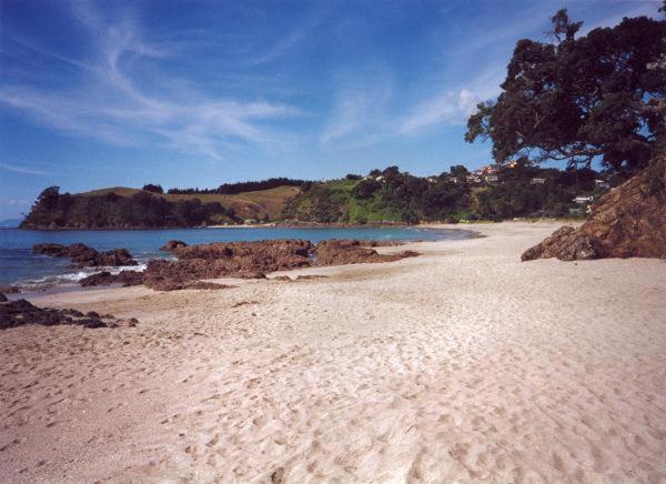 Supacute Character Cottage, Wifi, Sky Tv, Spa Bath, Spa Bath, Dble Kayak And Possibly A Car! Palm Beach Eksteriør bilde