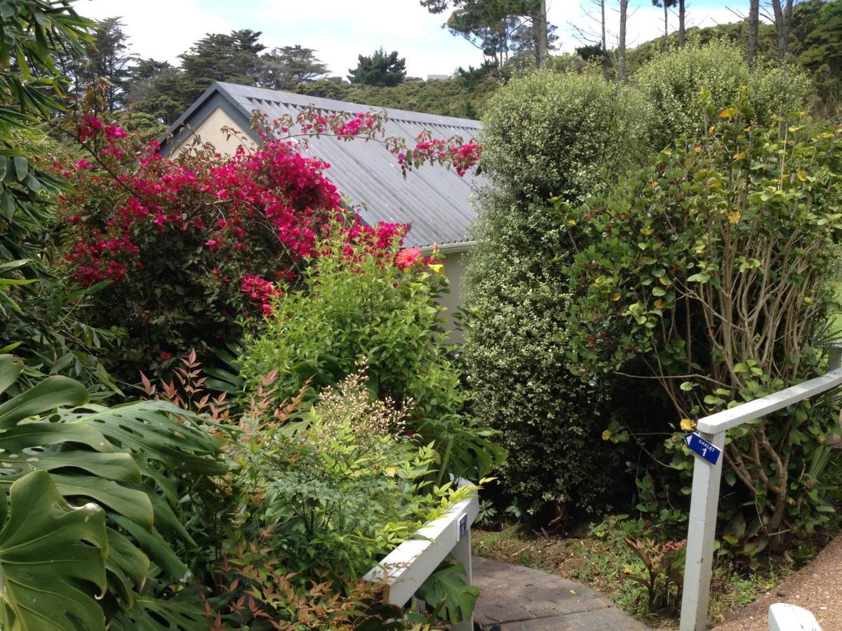 Supacute Character Cottage, Wifi, Sky Tv, Spa Bath, Spa Bath, Dble Kayak And Possibly A Car! Palm Beach Eksteriør bilde