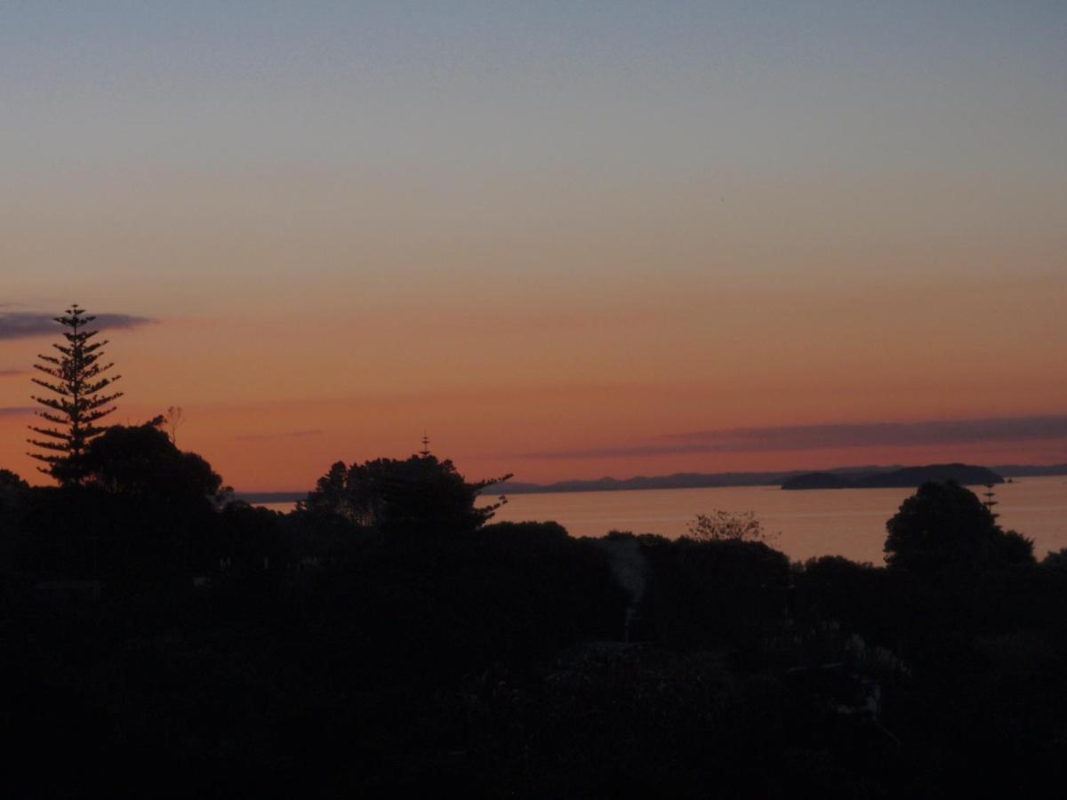 Supacute Character Cottage, Wifi, Sky Tv, Spa Bath, Spa Bath, Dble Kayak And Possibly A Car! Palm Beach Eksteriør bilde