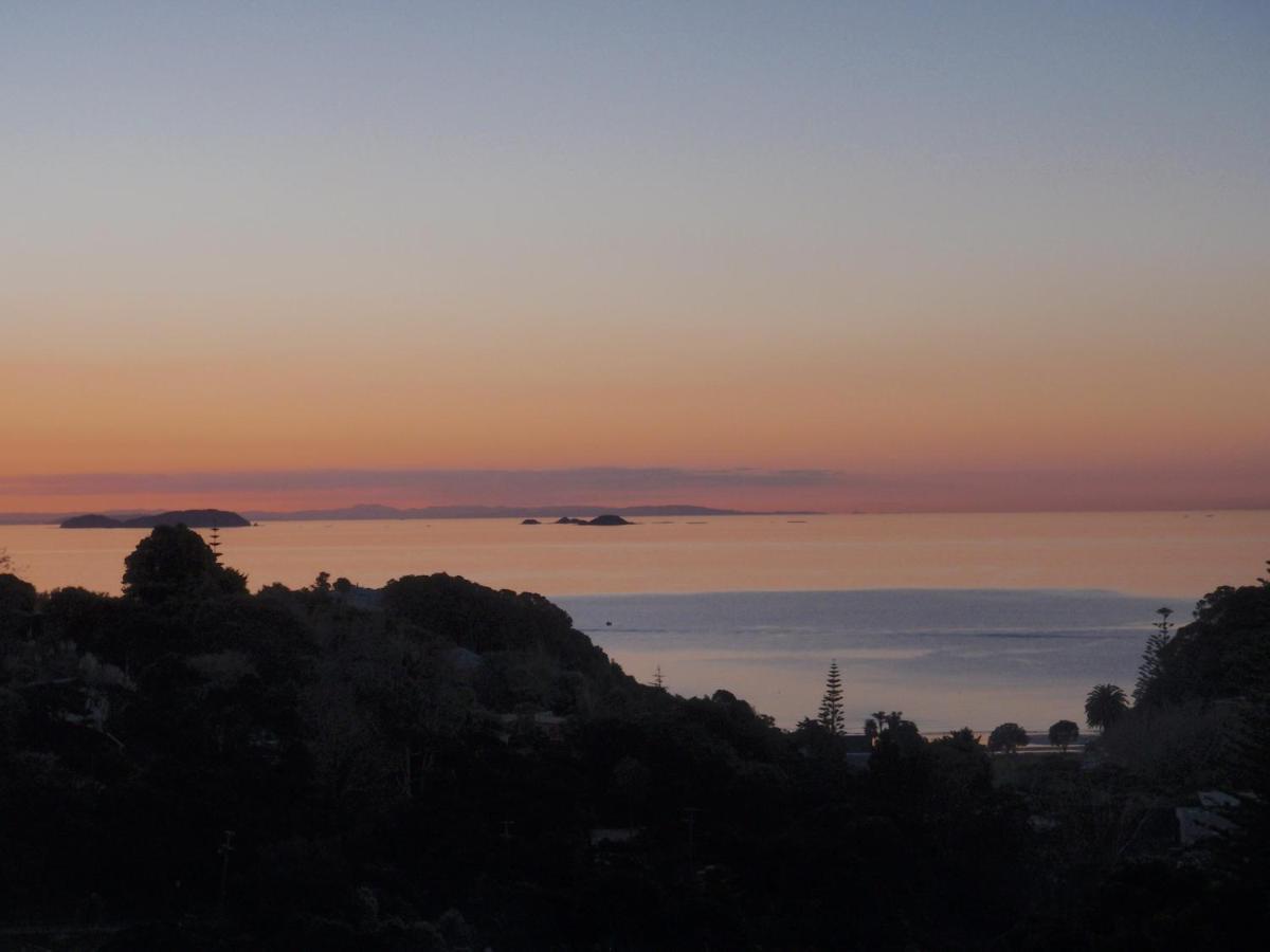 Supacute Character Cottage, Wifi, Sky Tv, Spa Bath, Spa Bath, Dble Kayak And Possibly A Car! Palm Beach Eksteriør bilde